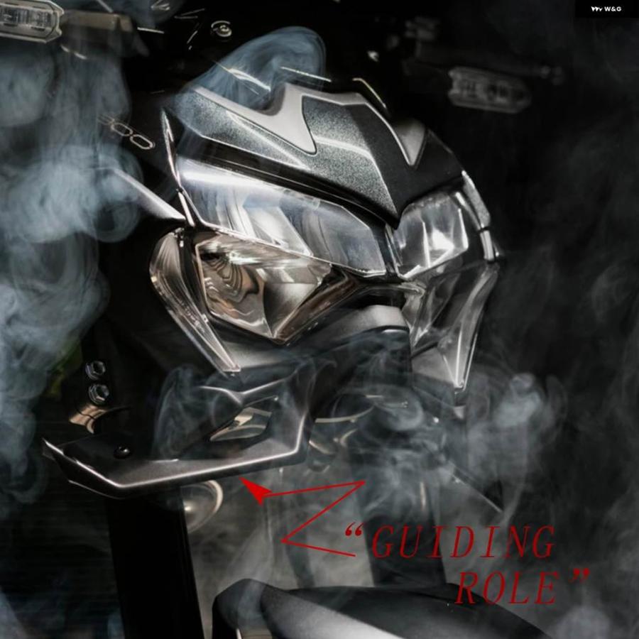並行輸入品 オートバイ アクセサリー カワサキ Z900 PUIG ネイキッド フロントスポイラー ウィングレット エアロダイナミ_6