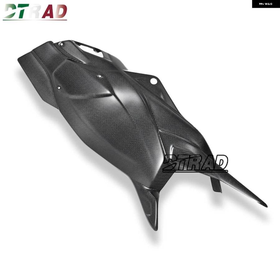並行輸入品ドゥカティ マルチストラーダV4パイクスピーク/RS 2021-2023新規車両 2024年モデル カーボン スイングアーム カバー チェーン ガード付き_5