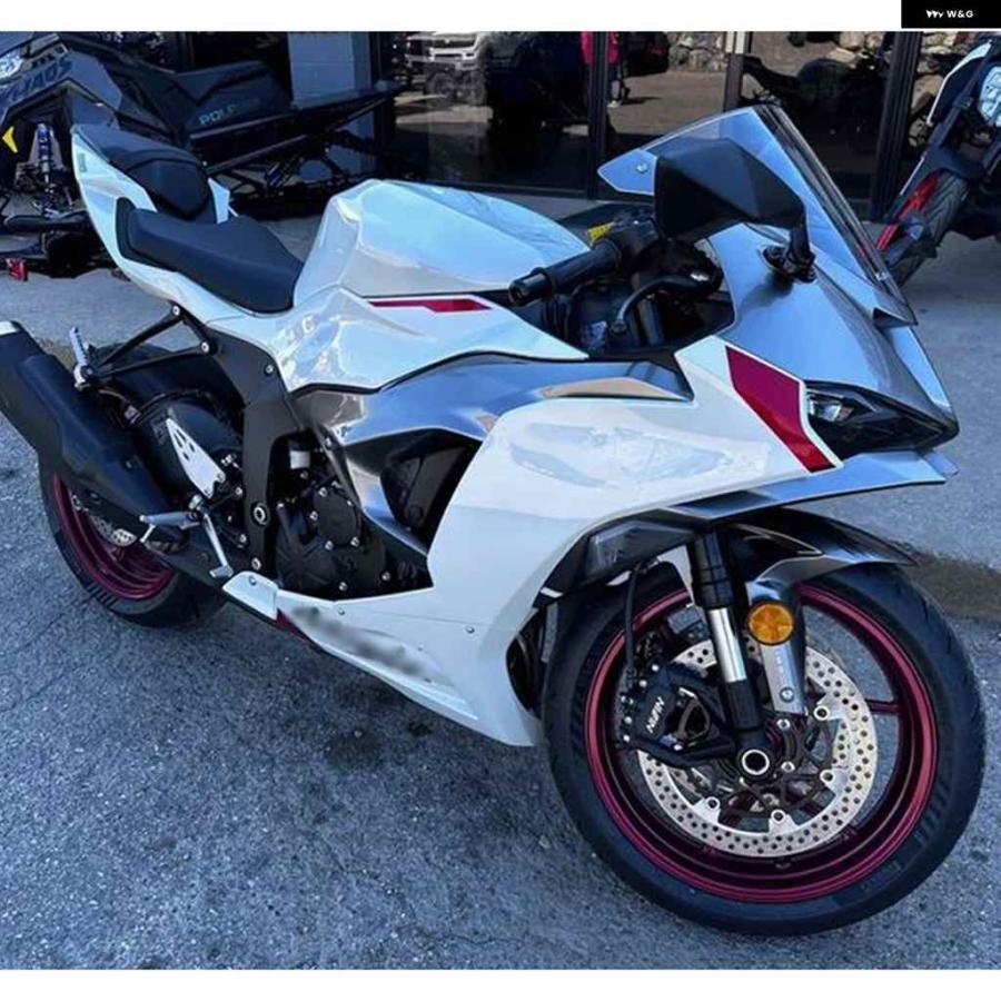 並行輸入品カワサキ ZX-6R 2019-2025 オートバイ バイク ライダー
