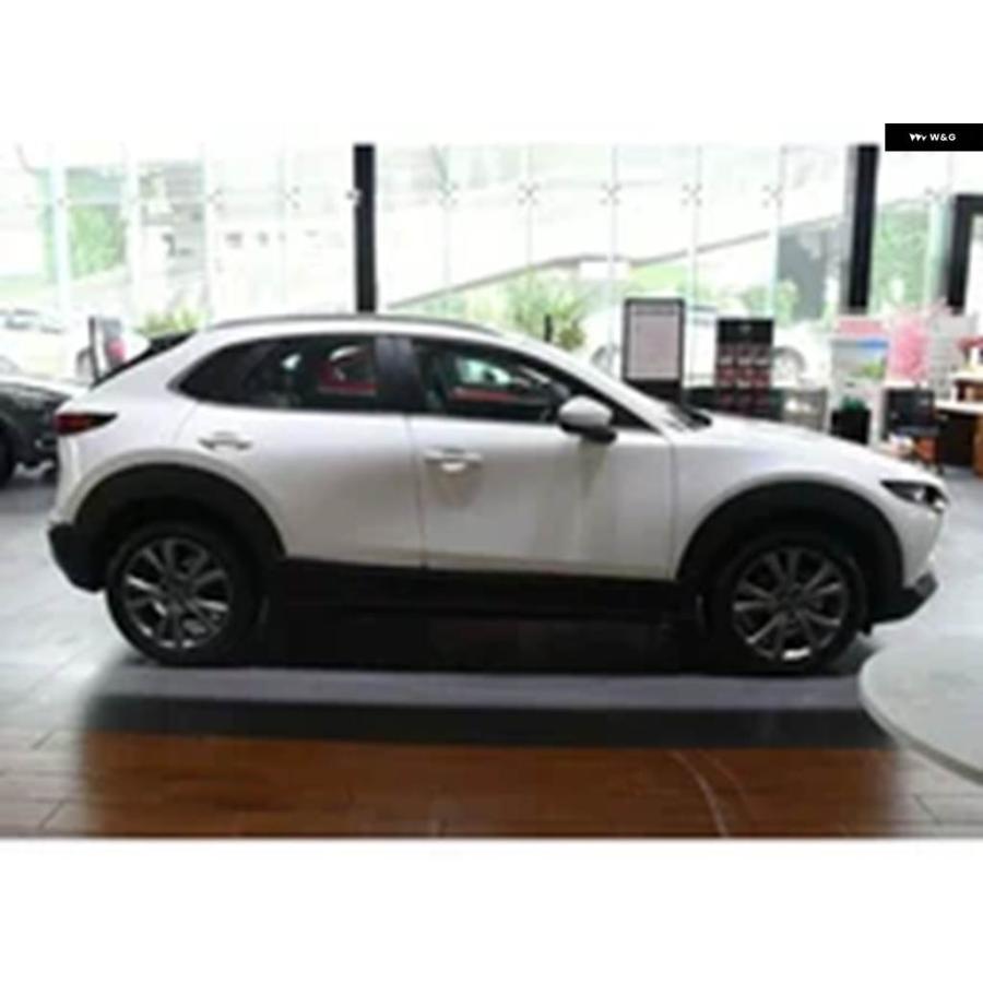 並行輸入品 マツダ CX-30 CX30 2020-2025用 ルーフラック クロスバー 