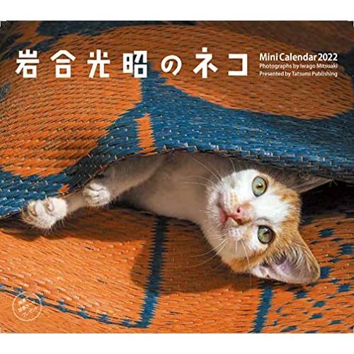 22ミニカレンダー 岩合光昭のネコ カレンダー A Storehappiness 通販 Yahoo ショッピング