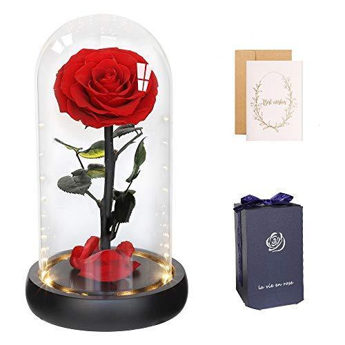 Anaoo バラの美女と野獣 バラ ガラス の保存された花ドームの永遠のバラ 誕生日バレンタインデーの母の日ギフ Sentronic Com Co