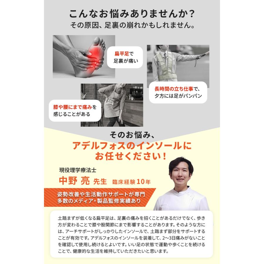 整体治療 応用編 資料充実 サポートあり 2点以上で20%OFFクーポン有_理学療法士監修】 インソール