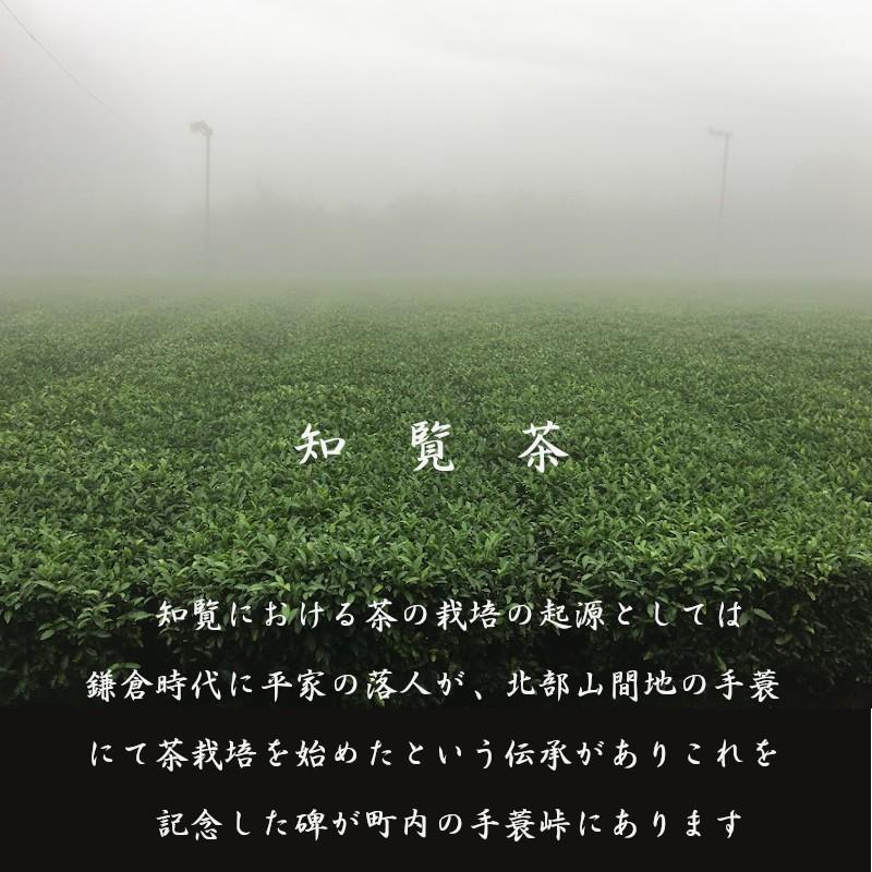 お茶 知覧茶 緑茶 国産 鹿児島茶 日本茶 煎茶 A-二 送料無料 カテキンで免疫力アップ|storekatanosaka|02