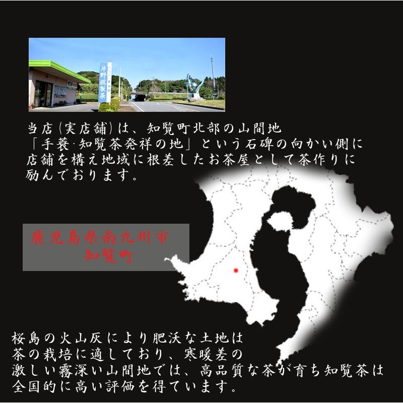 お茶 知覧茶 緑茶 国産 鹿児島茶 日本茶 煎茶 A-二 送料無料 カテキンで免疫力アップ|storekatanosaka|03