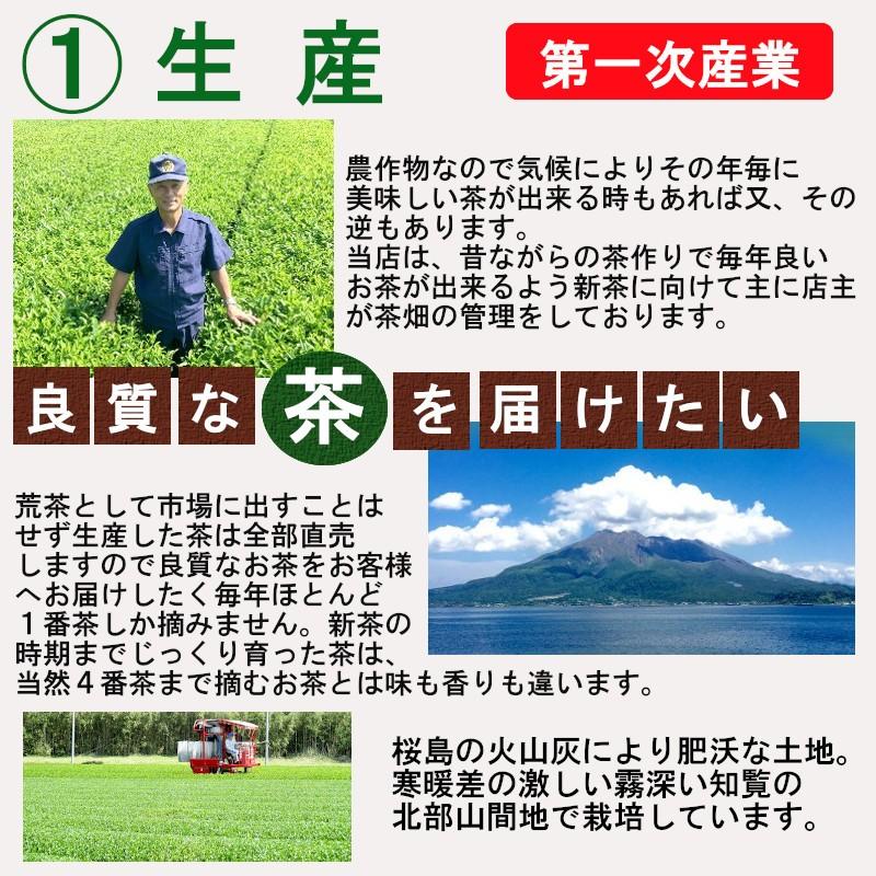 お茶 知覧茶 緑茶 国産 鹿児島茶 日本茶 煎茶 A-二 送料無料 カテキンで免疫力アップ|storekatanosaka|05