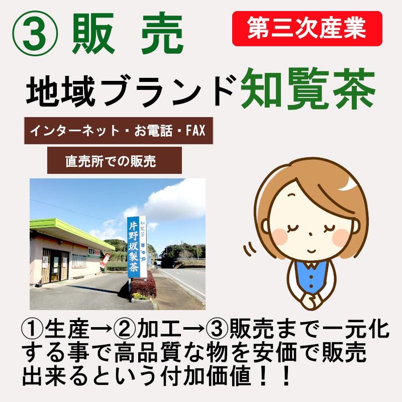 お茶 知覧茶 緑茶 国産 鹿児島茶 日本茶 煎茶 A-二 送料無料 カテキンで免疫力アップ|storekatanosaka|07