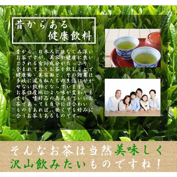 新茶 2024 お茶 知覧茶 緑茶 茶葉 国産 鹿児島茶 日本茶 煎茶 片野坂製茶 A-ロ 送料無料 カテキンで免疫力アップ｜storekatanosaka｜04