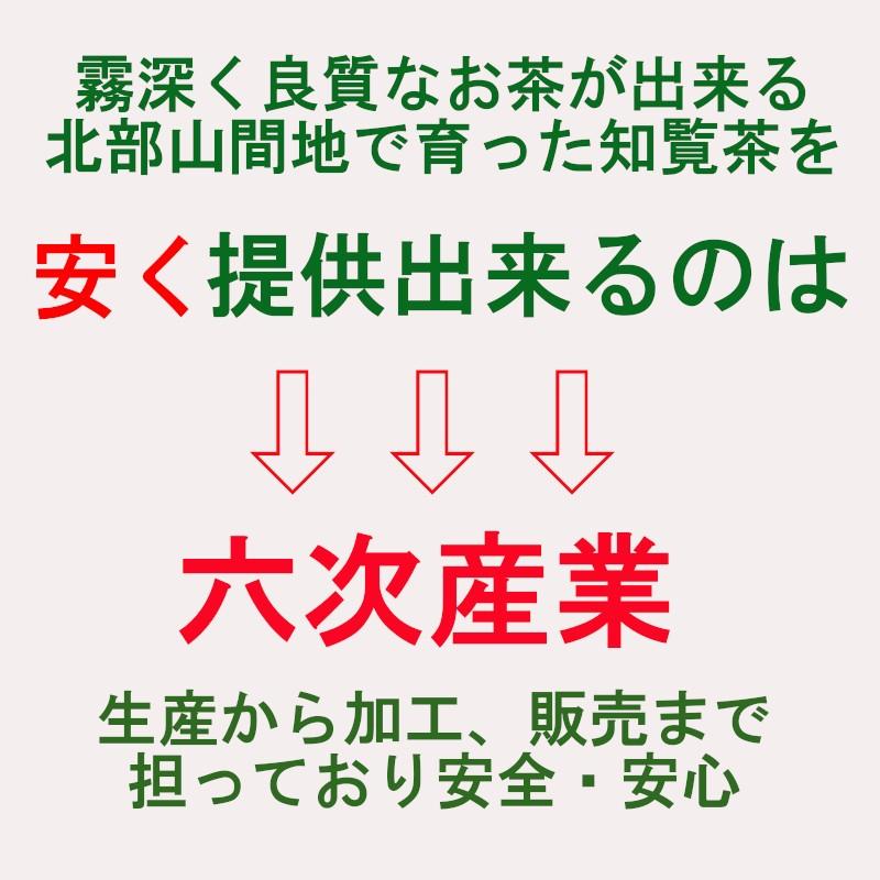 お茶 2026 新茶 知覧茶 緑茶 茶葉 国産 鹿児島茶 日本茶 煎茶 片野坂