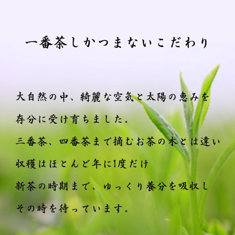 新茶 母の日 2024 お茶 ギフト 知覧茶 緑茶 内祝 御礼 お返し 鹿児島県産 100ｇ×3本入 煎茶A-二｜storekatanosaka｜09