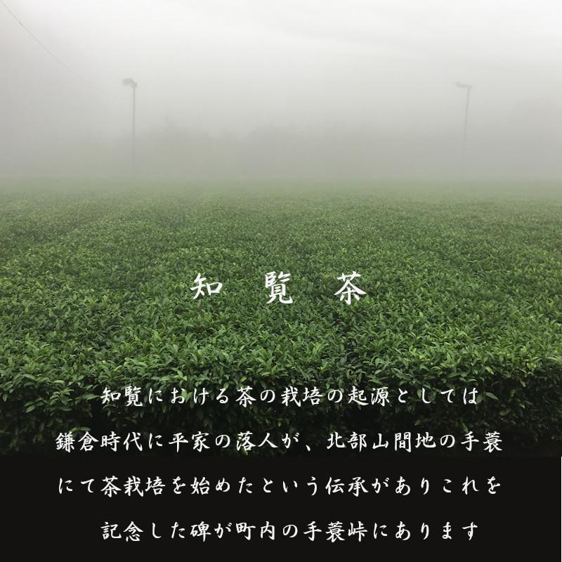 新茶 母の日 2024 お茶 ギフト 知覧茶 緑茶 内祝 御礼 お返し 鹿児島県産 100ｇ×3本入 煎茶A-二｜storekatanosaka｜10