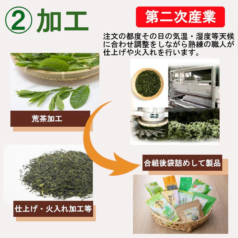 新茶 母の日 2024 お茶 ギフト 知覧茶 緑茶 内祝 御礼 お返し 鹿児島県産 100ｇ×3本入 煎茶A-二｜storekatanosaka｜12