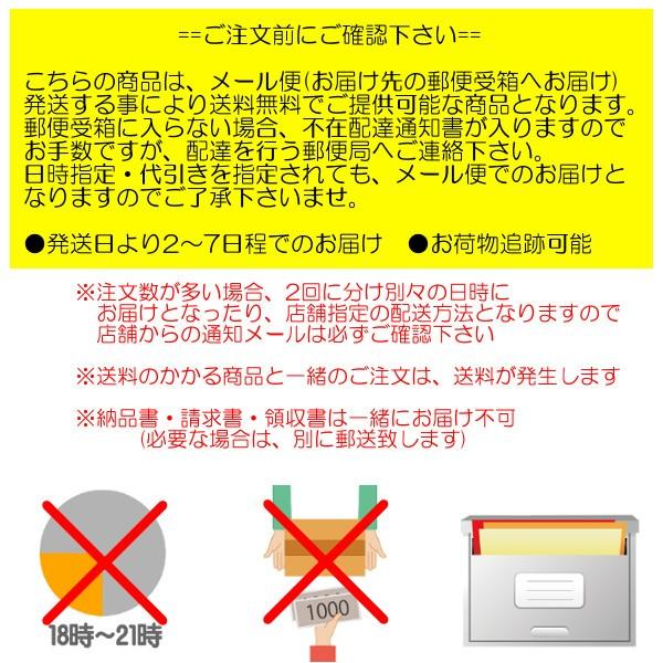 お茶 ティーバッグ 煎茶 パック 緑茶 茶葉 ひも付き 送料無料｜storekatanosaka｜02