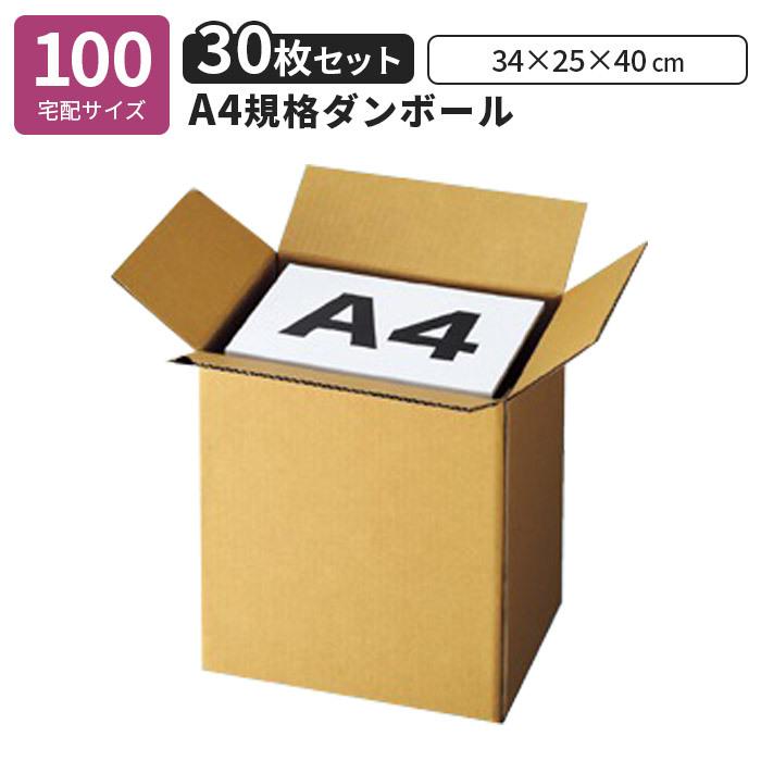 みー　こはく30点 Amazon | コクヨ インデックスポケットA4縦30穴 5色5山