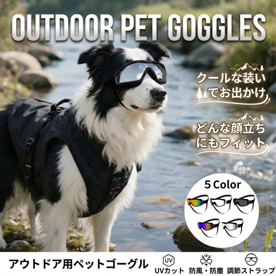 storepsn petgoggles 1000