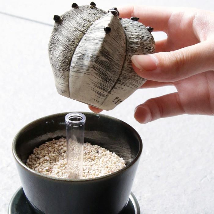 陶植 (陶器のサボテン＋益子焼3号鉢＋受け皿セット) トール 一輪挿し
