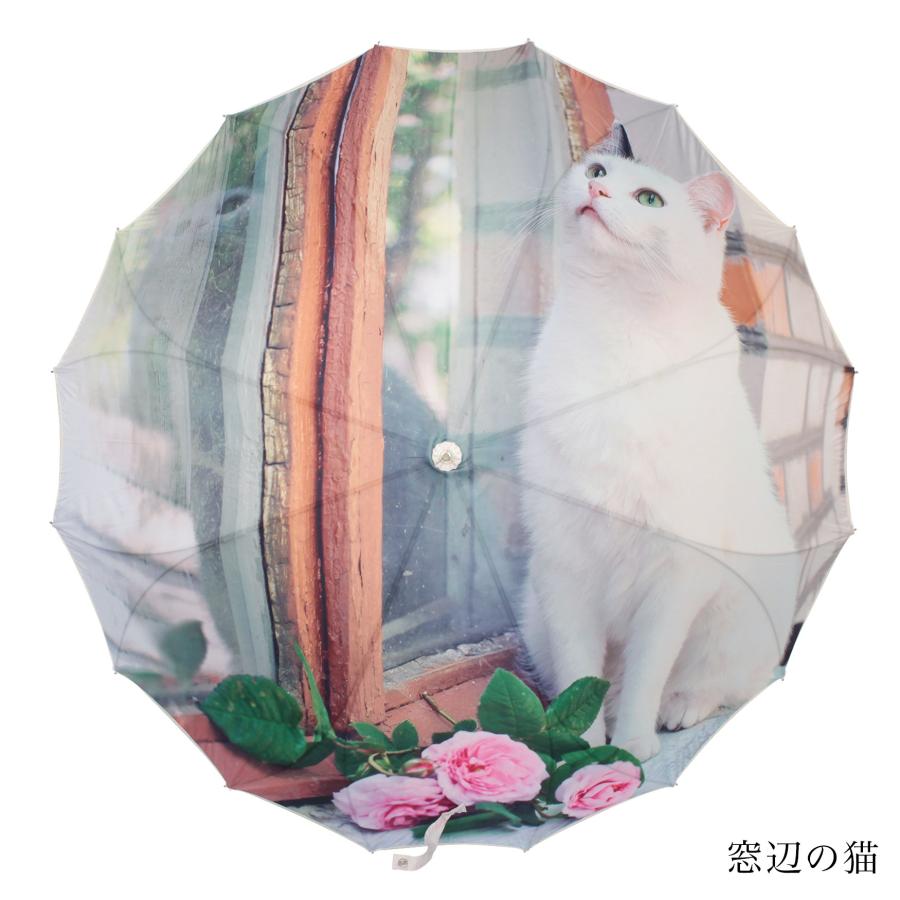 傘 レディース 長傘 ジャンプ傘 60cm 16本骨 一枚張り かさ カサ