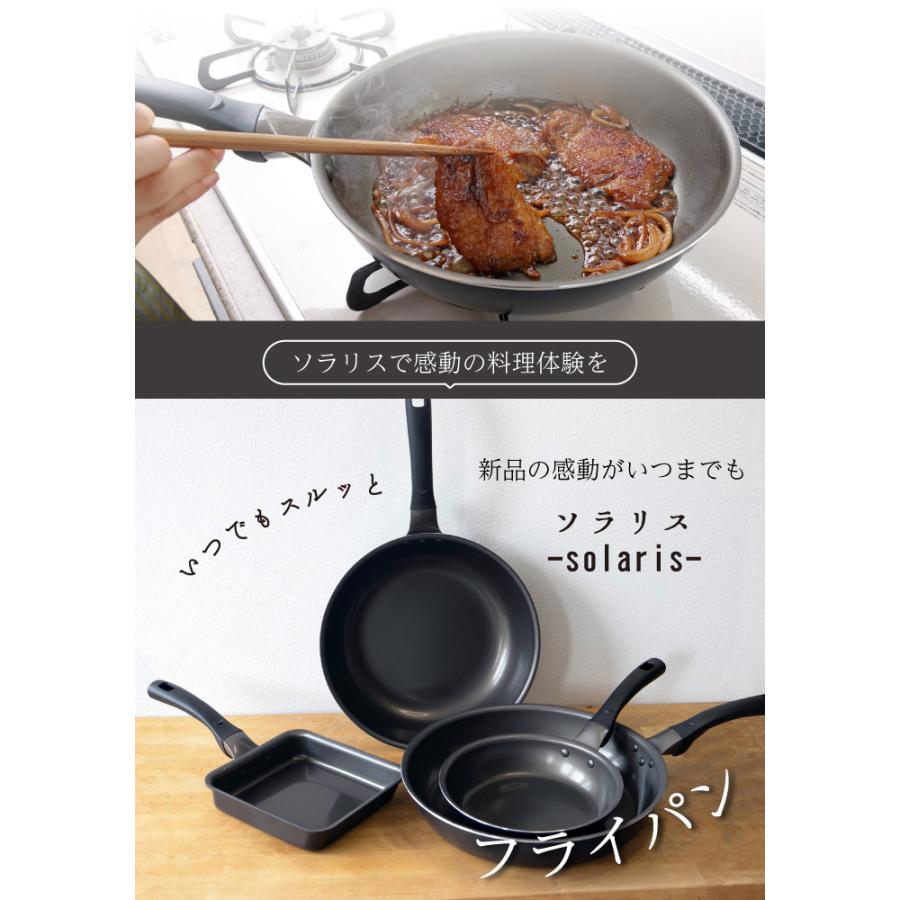 ソラリス いつでもスルッとフライパン 20cm ☆1年保証 ウェルフロン