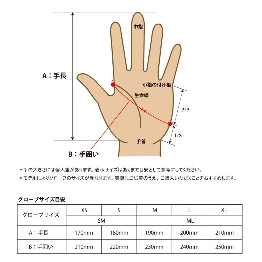 eb's（エビス） 25/26 スノー グローブ 手袋 ミトン アルマ ジップ