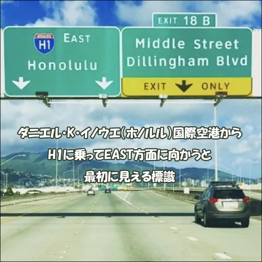 Pick the Hawaii アルミサインプレート HONOLULU ホノルル 看板 標示板