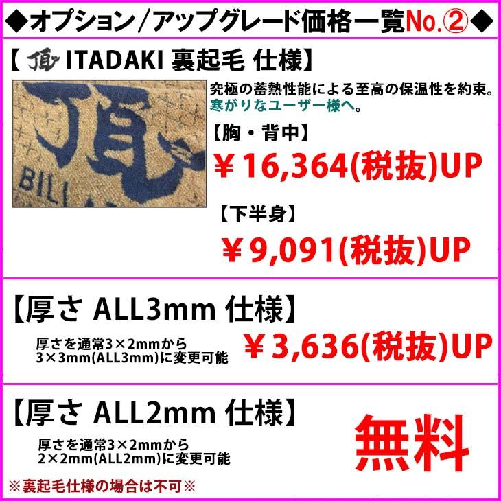 BILLABONG 24 SS ビラボン シーガル ウエットカスタム GULLWING BILLABONG 24 SS ビラボン シーガル ウエットカスタム GULLWING