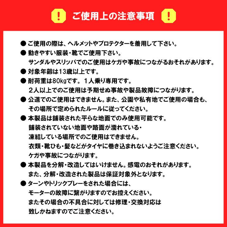 Bmove PRO ビームーブプロ 電動アシスト サーフ スケートボード