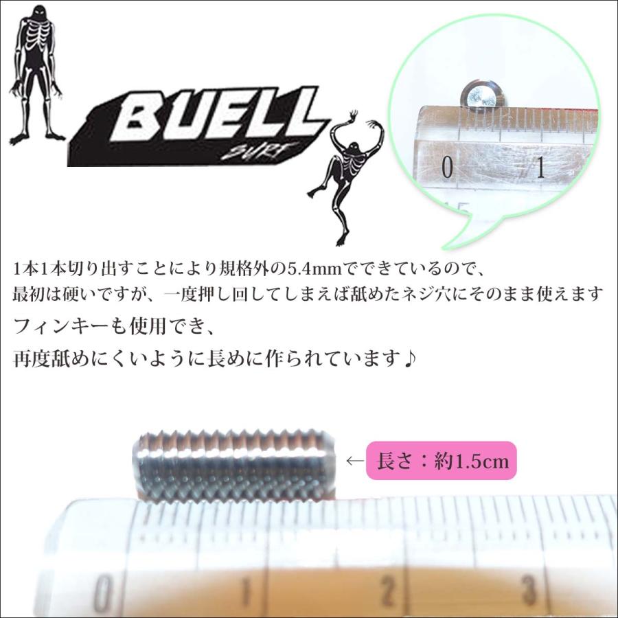 BUELL SURF ビュエルサーフ 太ネジ フィンプラグ用 5.4mm 食いつき強力