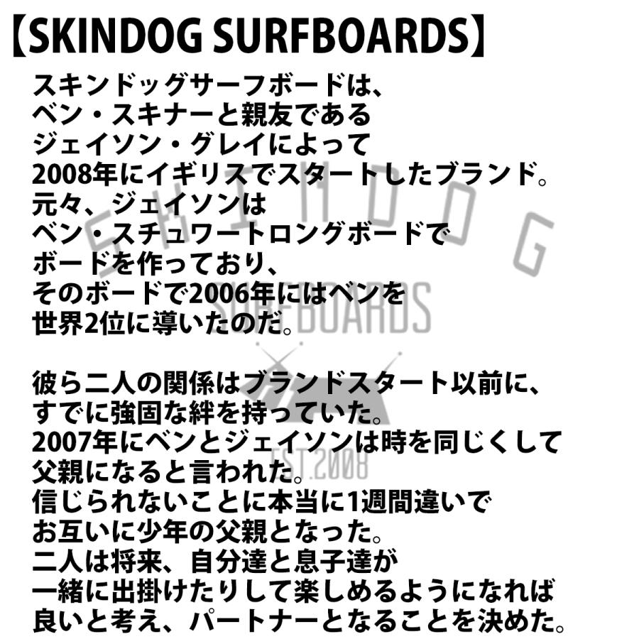 25 サンダーボルト SKINDOG SURFBOARDS サーフボード DYNAMIC DOUBLE