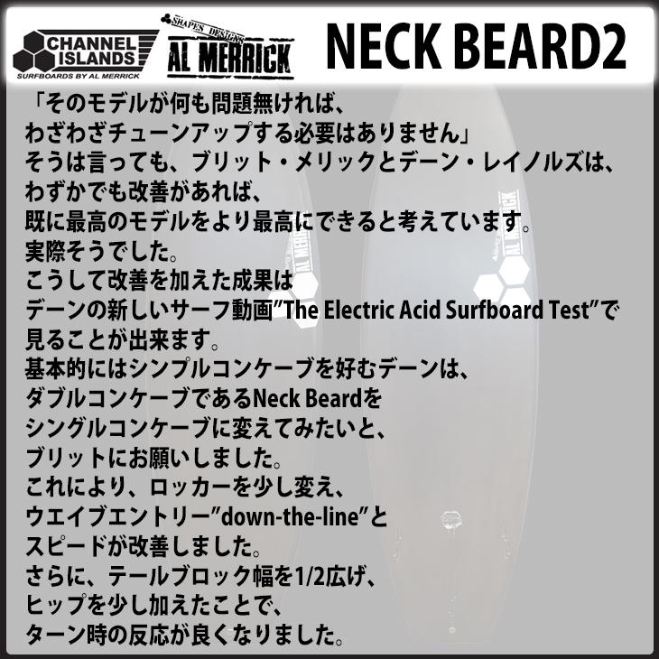 CHANNEL ISLANDS SURFBOARDS 25 チャンネルアイランド