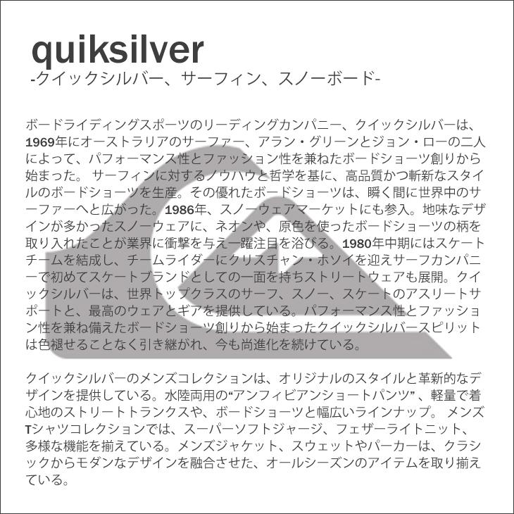 Quiksilver スノーボード ウェア メンズ 20/21 QUIKSILVER