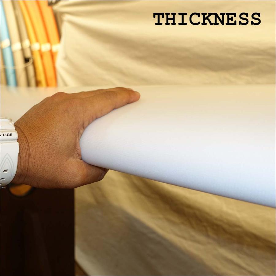 ESSENCE BOARD エッセンス サーフボード SHORT 6'4 フューチャー EPS