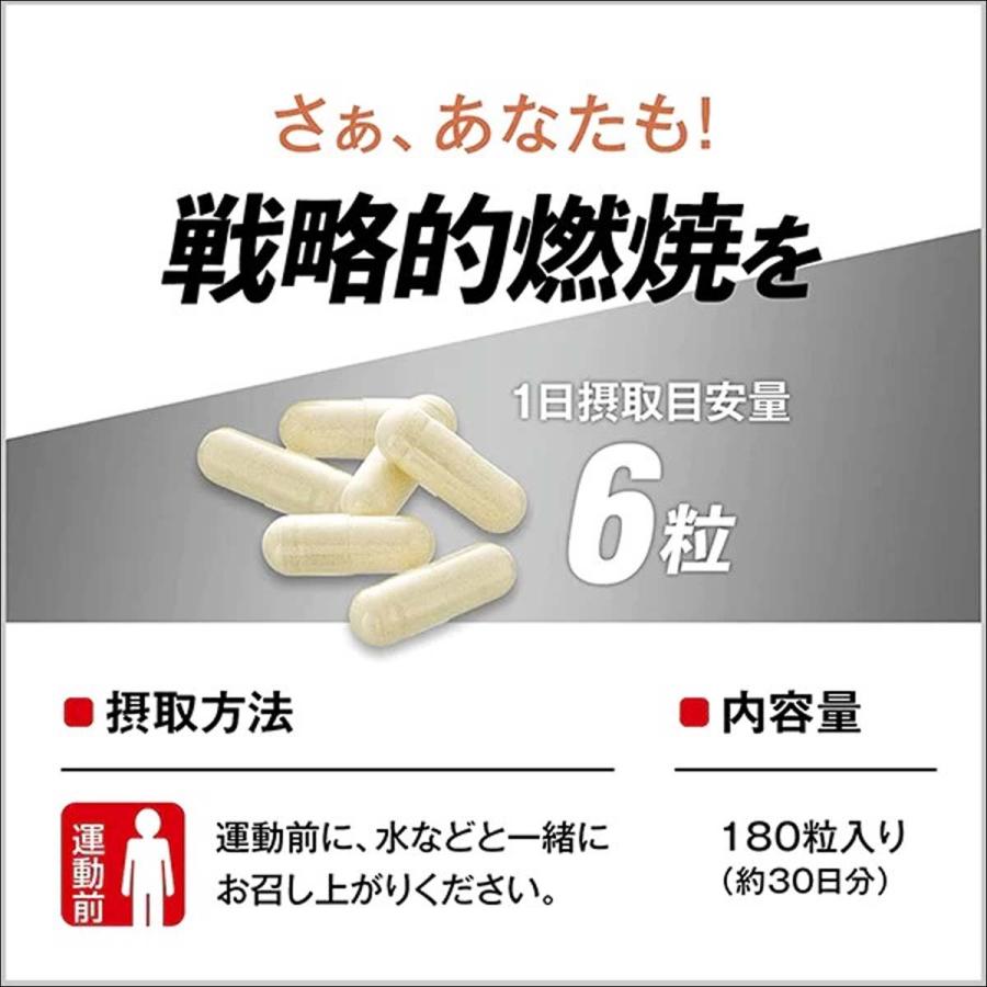 POWER PRODUCTION パワープロダクション サプリメント EXTRA BURNER