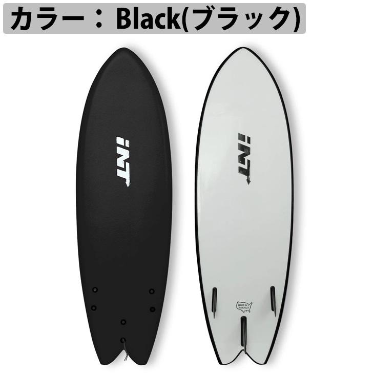 INT サーフボード FISH SLICK BOTTOM フィッシュ スリック ボトム 5'10