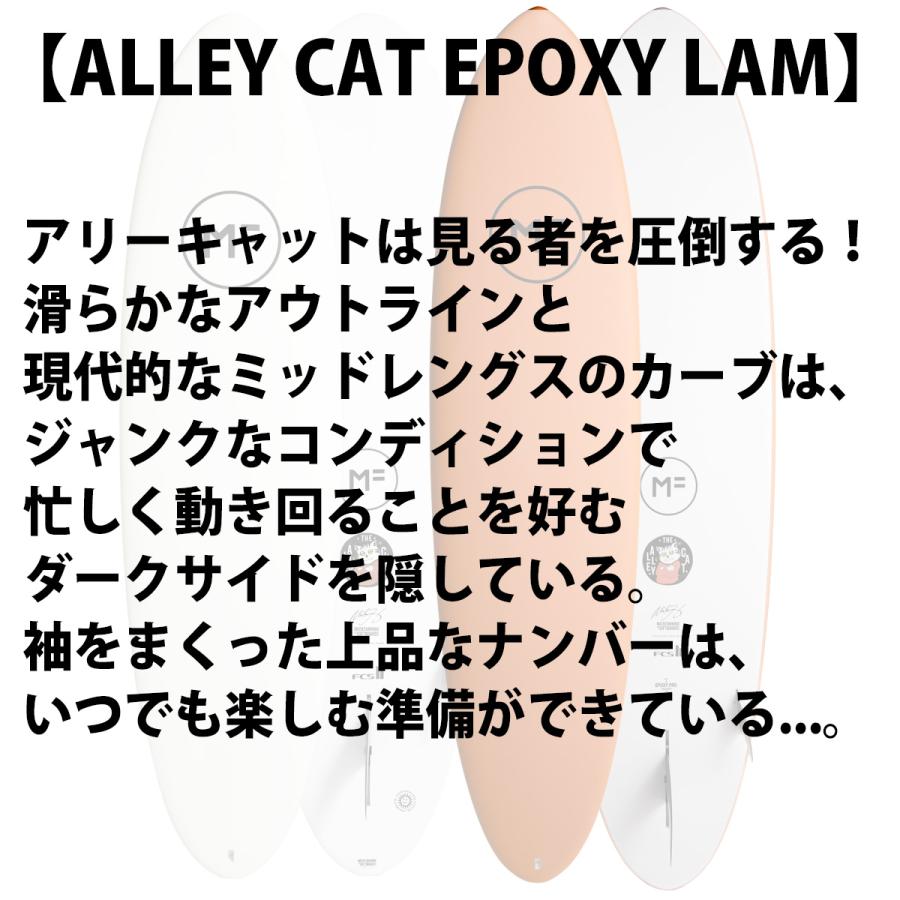 25 ミックファニングソフトボード ALLEY CAT EPOXYLAM アリー 25 ミックファニングソフトボード ALLEY CAT EPOXYLAM アリー
