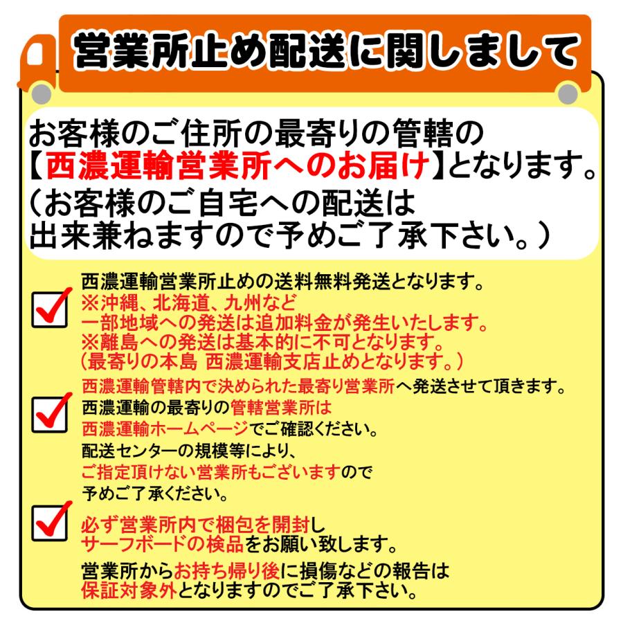 25 ミックファニングソフトボード BEASTIE ビースティ EPOXY LAM