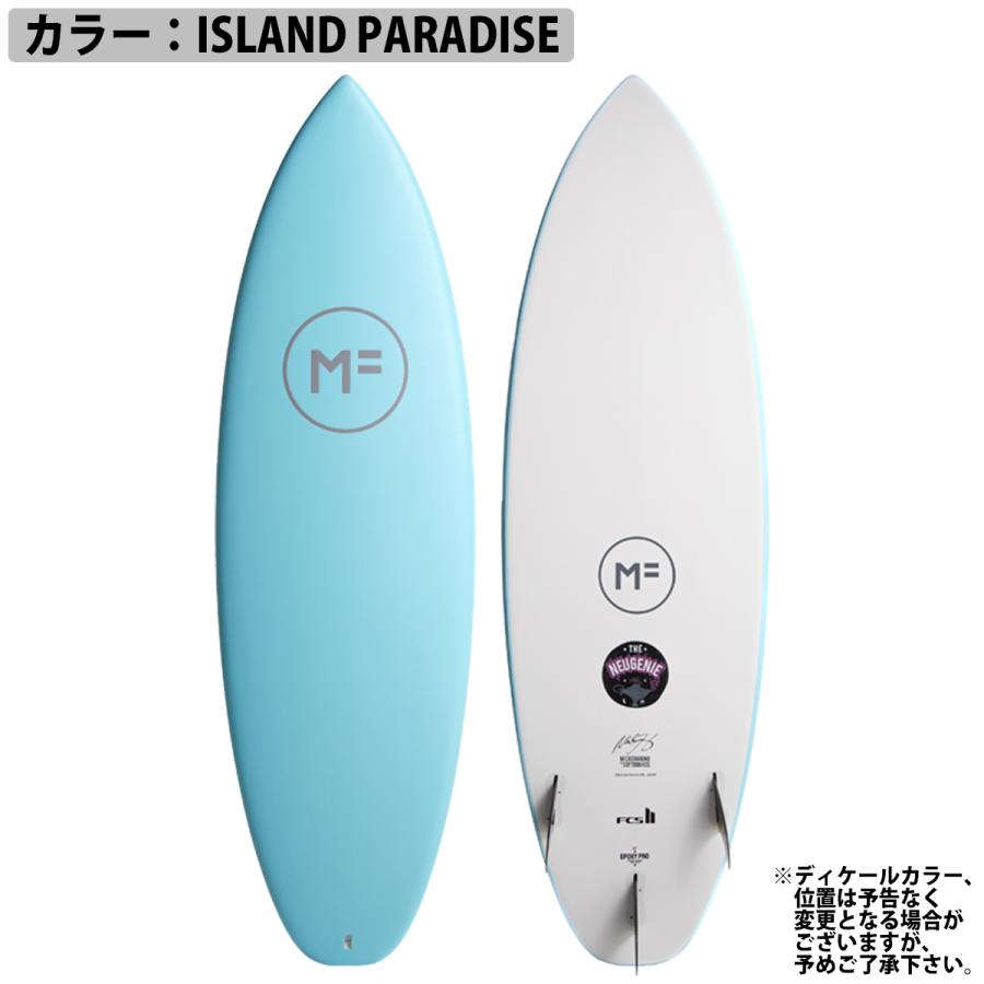 25 ミックファニングソフトボード NEUGENIE EPOXYLAM ニュージニー