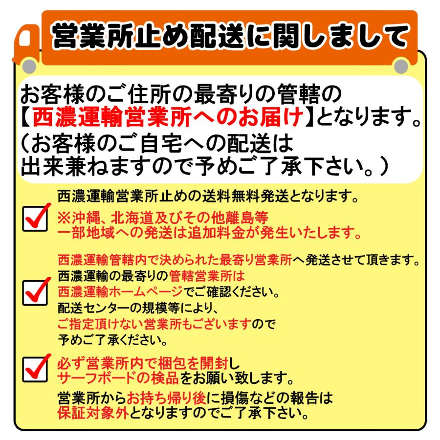 25 ミックファニングソフトボード BEASTIESUPERSOFTTRI 25 ミックファニングソフトボード BEASTIESUPERSOFTTRI