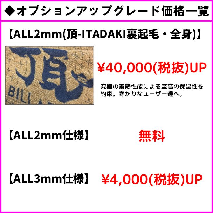 BILLABONG（ビラボン） 26 SS BILLABONG ニューバックジッパー