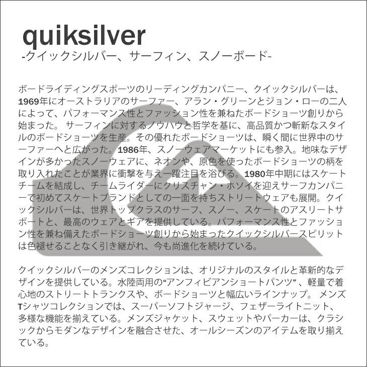 捧呈23 SS Quiksilver メンズ 日本正規品 2023年春夏 ラッシュガード クイックシルバー 半袖 Tシャツ QLY232006  ラッシュガード