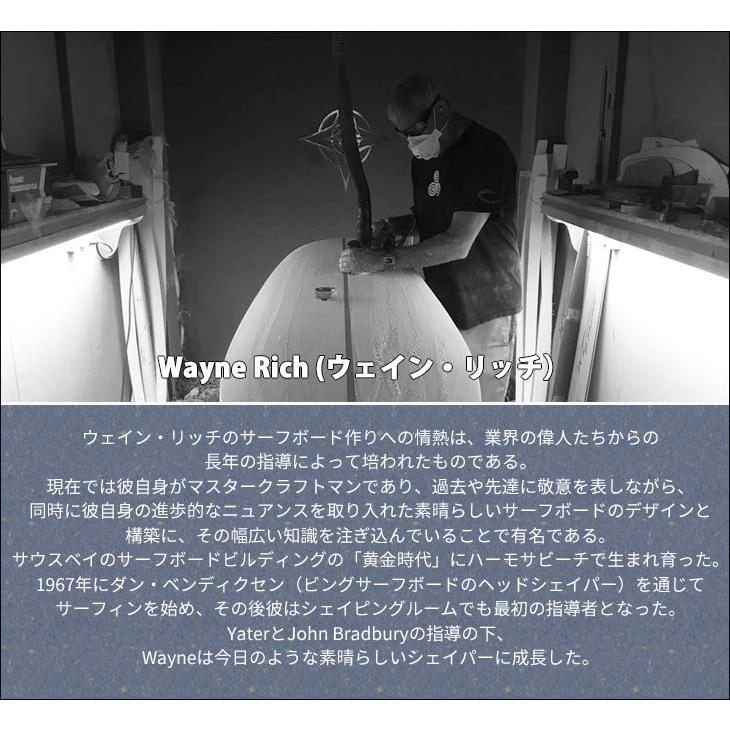 TRUE AMES トゥルーアムス フィン Wayne Rich Power 7.0