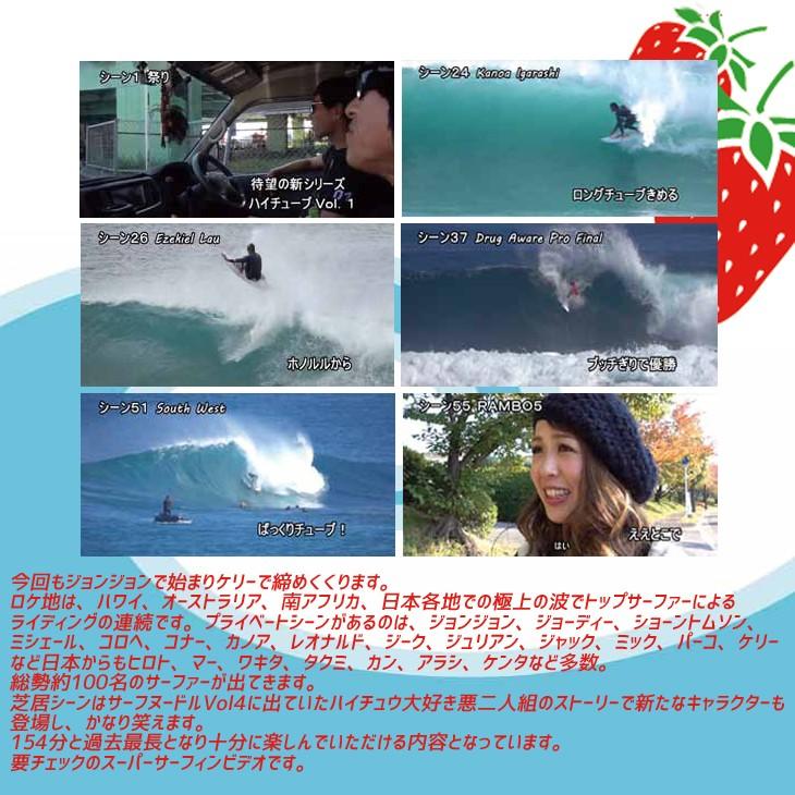 新品サーフィンDVD サーフフード ハイチューブ vol.1 HiTube NO Ossan
