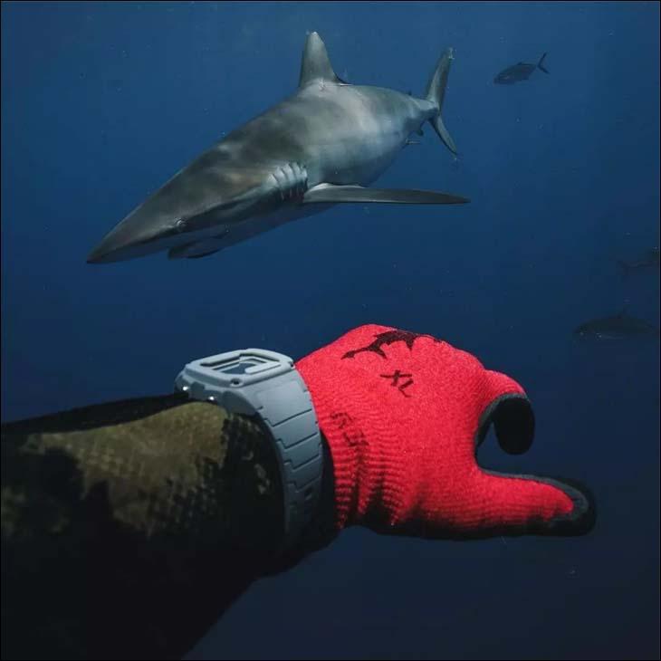 SHARK CLASSIC TIDE(シャーククラッシックタイド) 600 Freestyle Watches Shark Classic Tide 600 Black (POS) Unisex