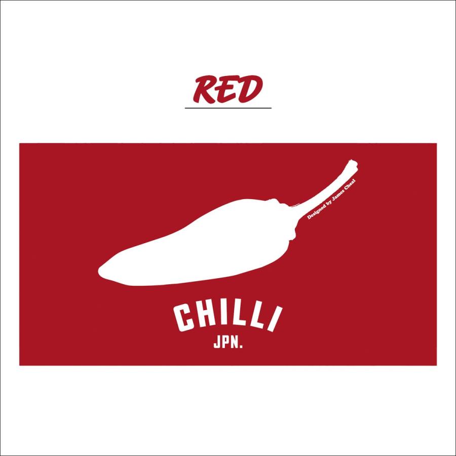 24 CHILLI チリ ビーチタオル BEACH TOWEL 今治タオル バス