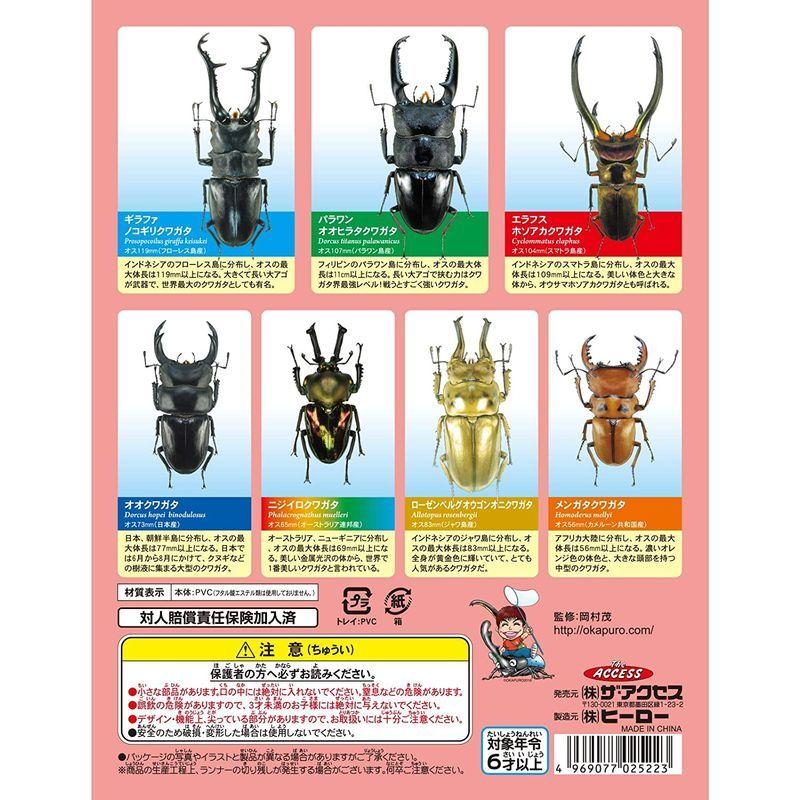 立体昆虫図鑑 世界のクワガタ 昆虫 リアルフィギュア ストレージリク 通販 Yahoo ショッピング