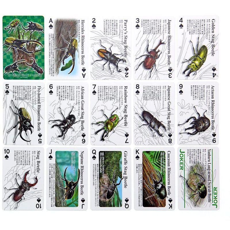 カロラータ トランプ 甲虫クイズ付 プラスチック製 動物 知育ゲーム リアルビートルトランプ ストレージリク 通販 Yahoo ショッピング