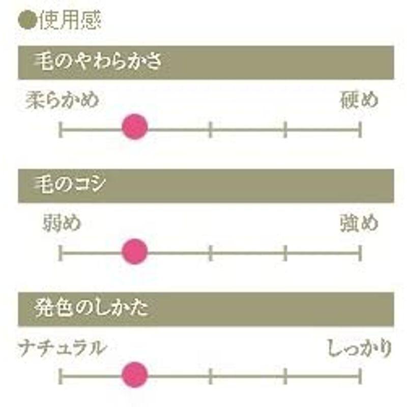 CHIKUHODO 熊野筆(化粧筆) 竹宝堂 パウダーブラシ 灰リス/粗光峰 G-8 メイクブラシ 