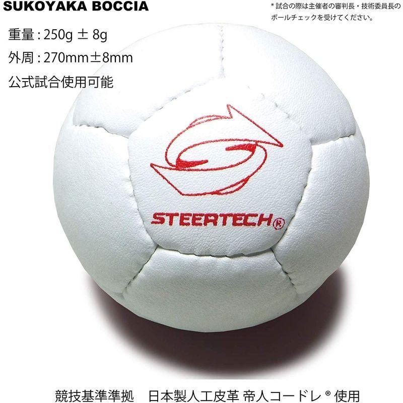 ステアテック ボッチャ ハーフセット STEERTECH BOCCIA スタンダードカラーレクレーション ボッチャ STD ボッチャ