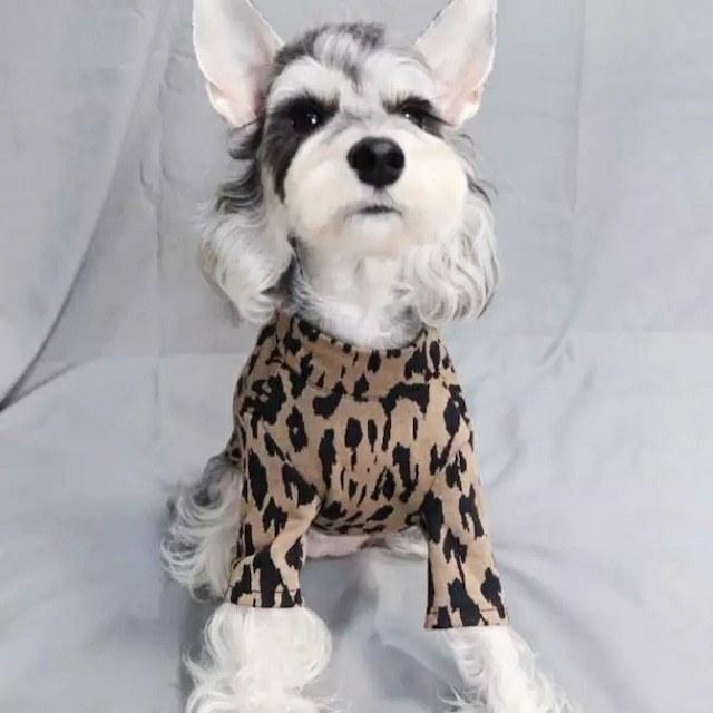 レオパード柄 ゼブラ柄 豹柄 ハイネック Tシャツ 春夏 秋冬 犬 服