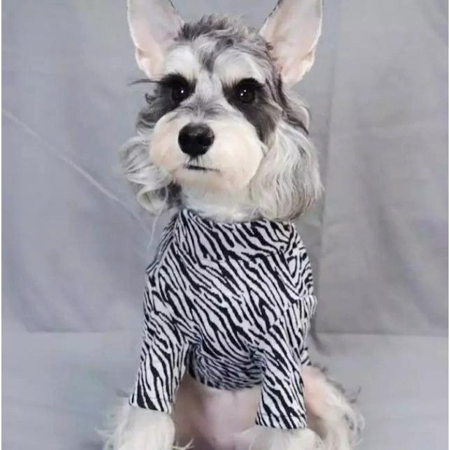 レオパード柄 ゼブラ柄 豹柄 ハイネック Tシャツ 春夏 秋冬 犬 服