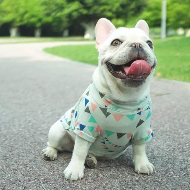 フレンチブルドッグ フラッグ ポップ Tシャツ オーバーサイズ 春夏 秋冬 犬 服 小型犬 お散歩 おしゃれ ペット 洋服 おでかけ 80年代 Flag Pop Oversized Tshirt Al Flagpopoversizedt Strangely Strange Market 通販 Yahoo ショッピング